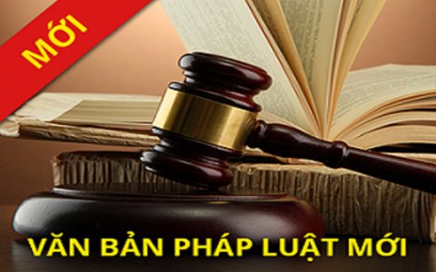 Luật hôn nhân và gia đình